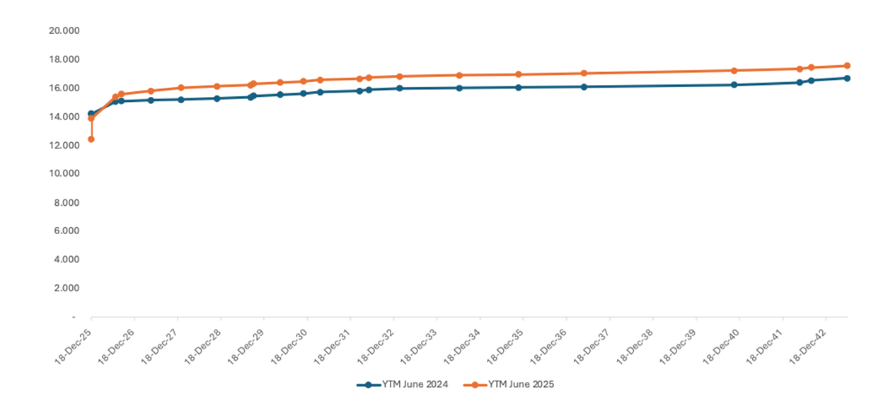 Government Securities Yield Curve as at 30 June 2025