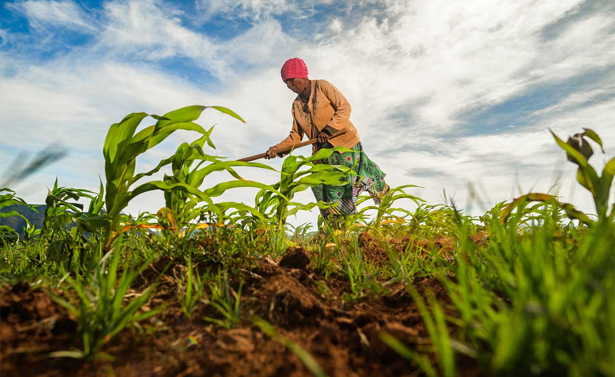 Why Uganda’s Farmers Need Social Security